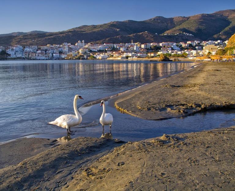 Πλατανακι 1 Family Friendly Villa Ándros Eksteriør billede